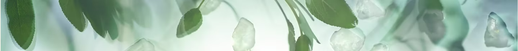 1668768446673927.png 范德萨方式豆腐砂.png